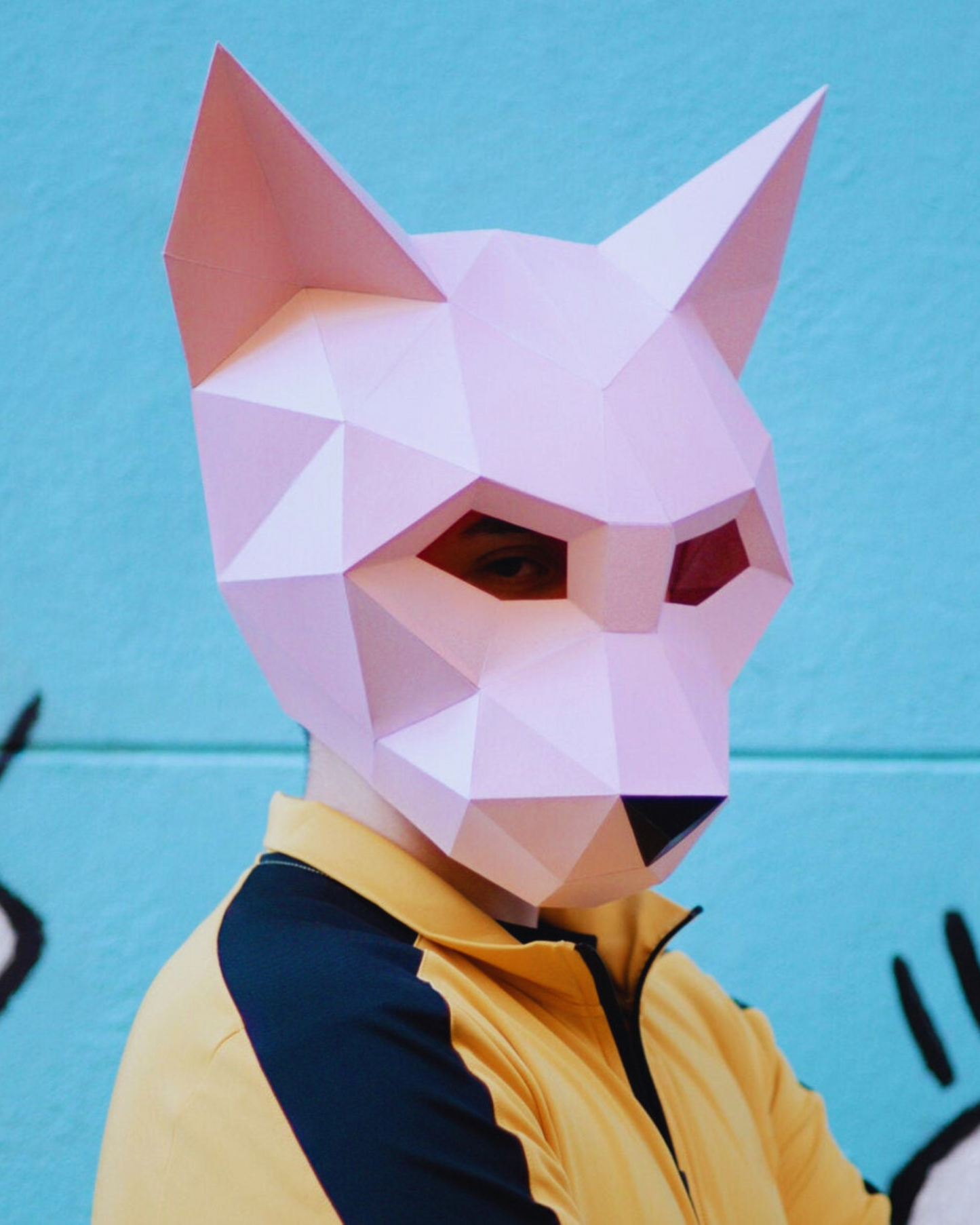 Máscara Gato