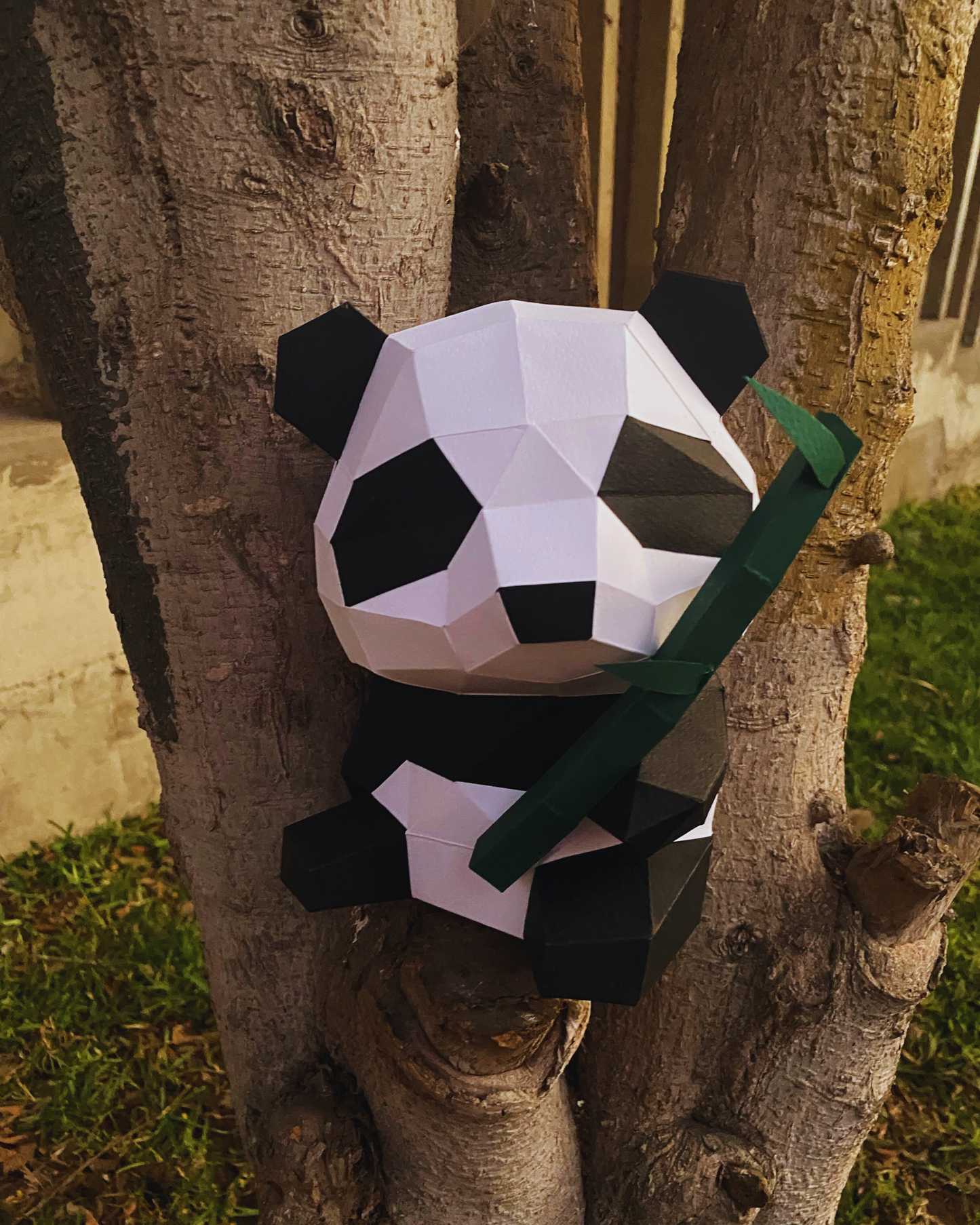 Oso Panda Minimalista